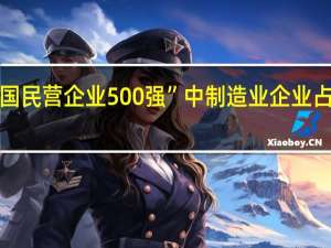 “中国民营企业500强”中制造业企业占比超六成