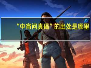 “中宵问真偈”的出处是哪里