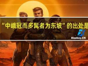 “中峨冠而多髯者为东坡”的出处是哪里