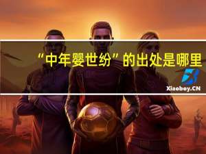 “中年婴世纷”的出处是哪里