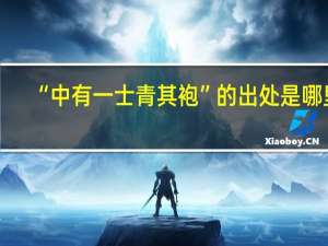 “中有一士青其袍”的出处是哪里