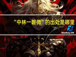 “中林一磬微”的出处是哪里