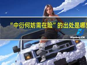 “中衍何妨需在险”的出处是哪里