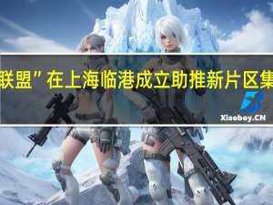 “临芯生态圈联盟”在上海临港成立 助推新片区集成电路产业链升级