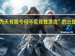 “为天有眼兮何不见我独漂流”的出处是哪里