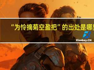 “为怜摘菊空盈把”的出处是哪里