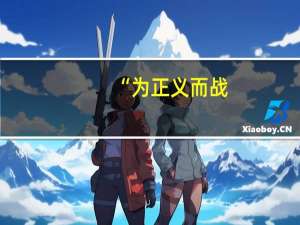 “为正义而战：一位母亲的无声呐喊”