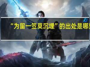 “为留一笠莫沉埋”的出处是哪里