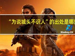 “为说城头不识人”的出处是哪里