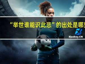 “举世谁能识此悲”的出处是哪里