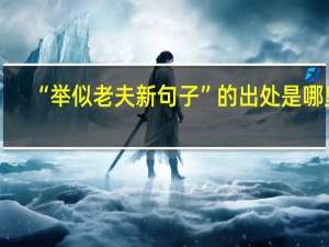 “举似老夫新句子”的出处是哪里