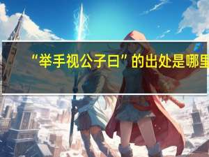 “举手视公子曰”的出处是哪里