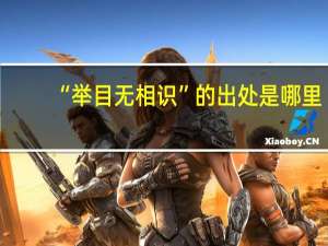 “举目无相识”的出处是哪里