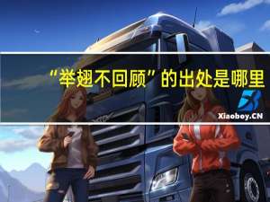 “举翅不回顾”的出处是哪里
