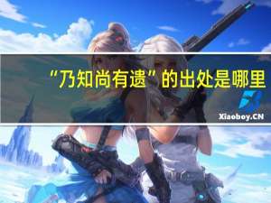“乃知尚有遗”的出处是哪里