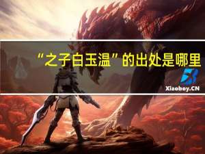 “之子白玉温”的出处是哪里
