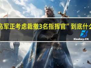 “乌军正考虑裁撤3名指挥官” 到底什么情况嘞