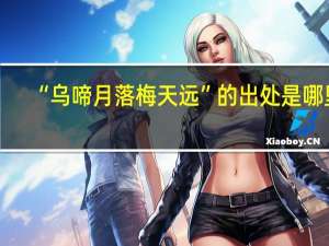 “乌啼月落梅天远”的出处是哪里
