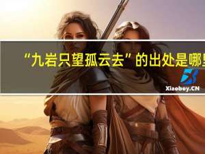 “九岩只望孤云去”的出处是哪里