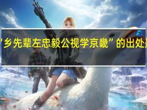 “乡先辈左忠毅公视学京畿”的出处是哪里
