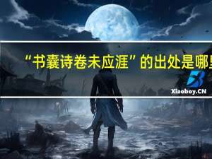 “书囊诗卷未应涯”的出处是哪里