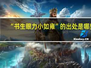 “书生眼力小如雍”的出处是哪里