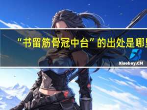 “书留筋骨冠中台”的出处是哪里