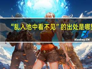 “乱入池中看不见”的出处是哪里