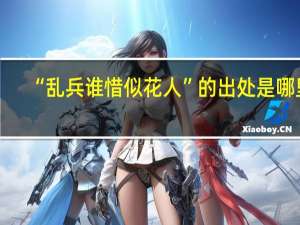 “乱兵谁惜似花人”的出处是哪里