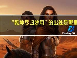 “乾坤尽归妙用”的出处是哪里