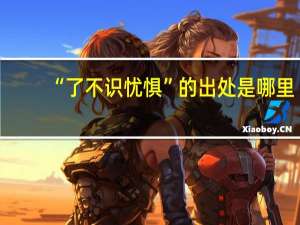 “了不识忧惧”的出处是哪里