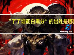 “了了谁能白黑分”的出处是哪里