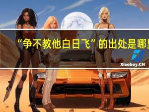 “争不教他白日飞”的出处是哪里