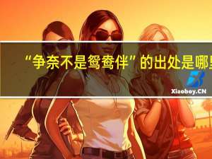 “争奈不是鸳鸯伴”的出处是哪里