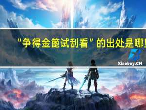 “争得金篦试刮看”的出处是哪里