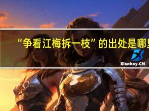 “争看江梅拆一枝”的出处是哪里
