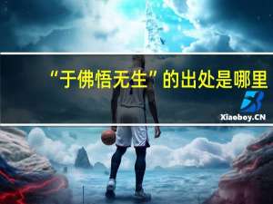 “于佛悟无生”的出处是哪里