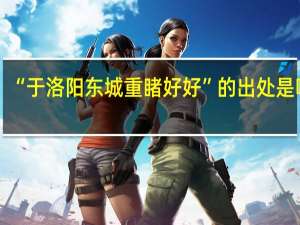 “于洛阳东城重睹好好”的出处是哪里