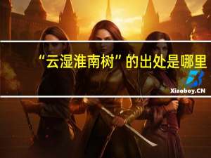 “云湿淮南树”的出处是哪里