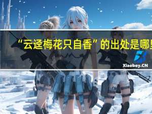 “云迳梅花只自香”的出处是哪里