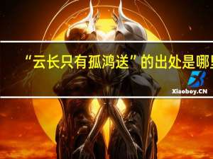 “云长只有孤鸿送”的出处是哪里