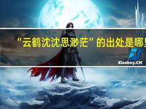“云鹤沈沈思渺茫”的出处是哪里