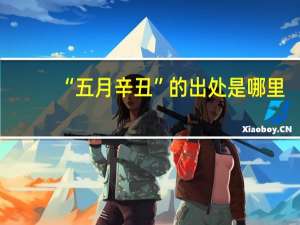 “五月辛丑”的出处是哪里