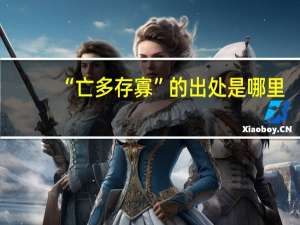 “亡多存寡”的出处是哪里