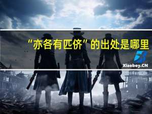 “亦各有匹侪”的出处是哪里
