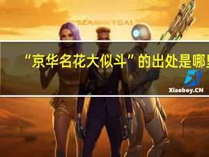 “京华名花大似斗”的出处是哪里