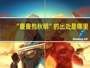 “亹亹抱秋明”的出处是哪里