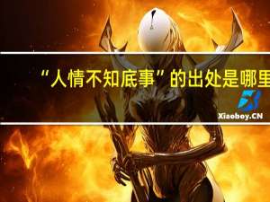 “人情不知底事”的出处是哪里