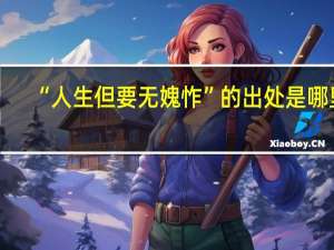 “人生但要无媿怍”的出处是哪里