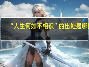 “人生何如不相识”的出处是哪里